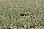 IMG_7478 - Copia