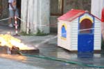 IMG_2522