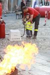 IMG_2593