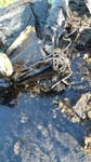 IMG-20160516-WA0001