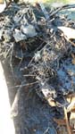 IMG-20160516-WA0004