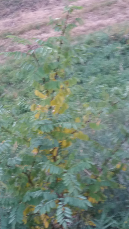 20171104_155059