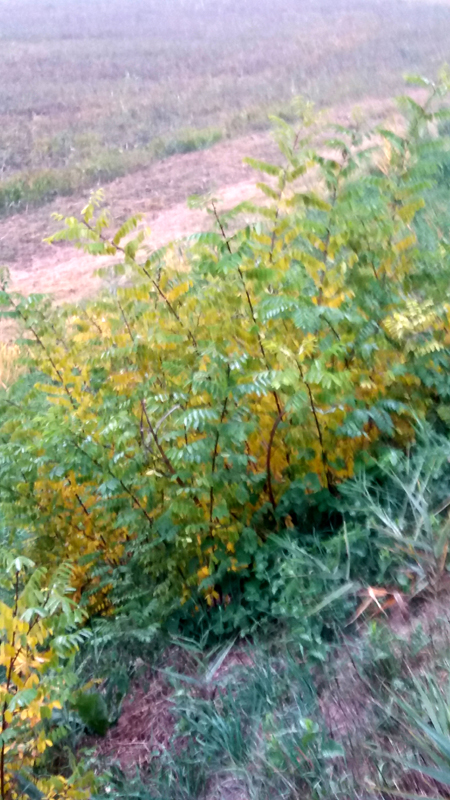 20171104_155102