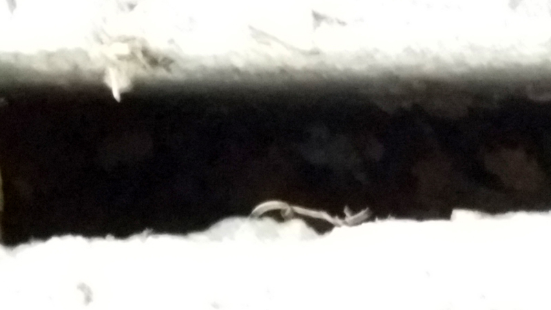 20171104_155449