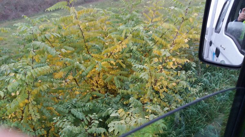 20171104_161442