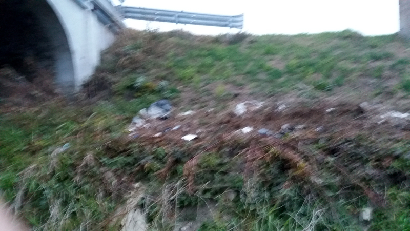 20171104_165950.jpg
