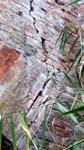 20171104_155711