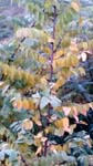 20171104_161456
