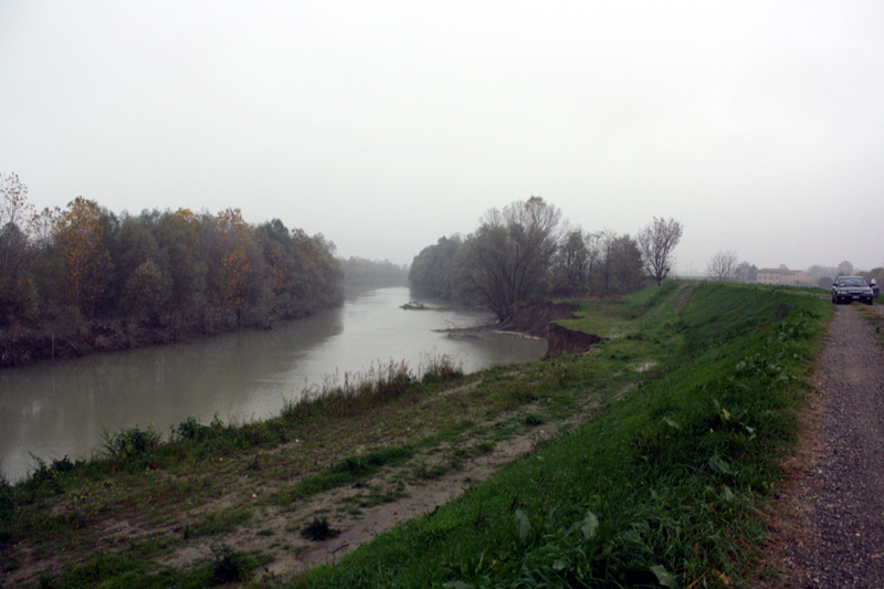 IMG_6590.JPG