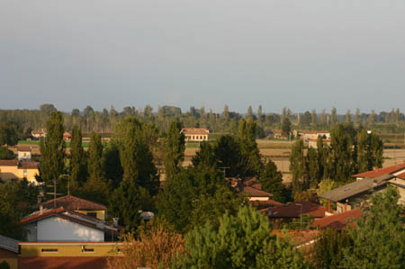 109_0981