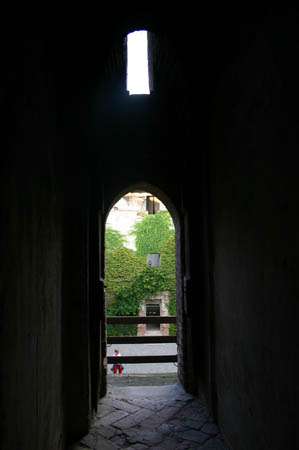 110_1007